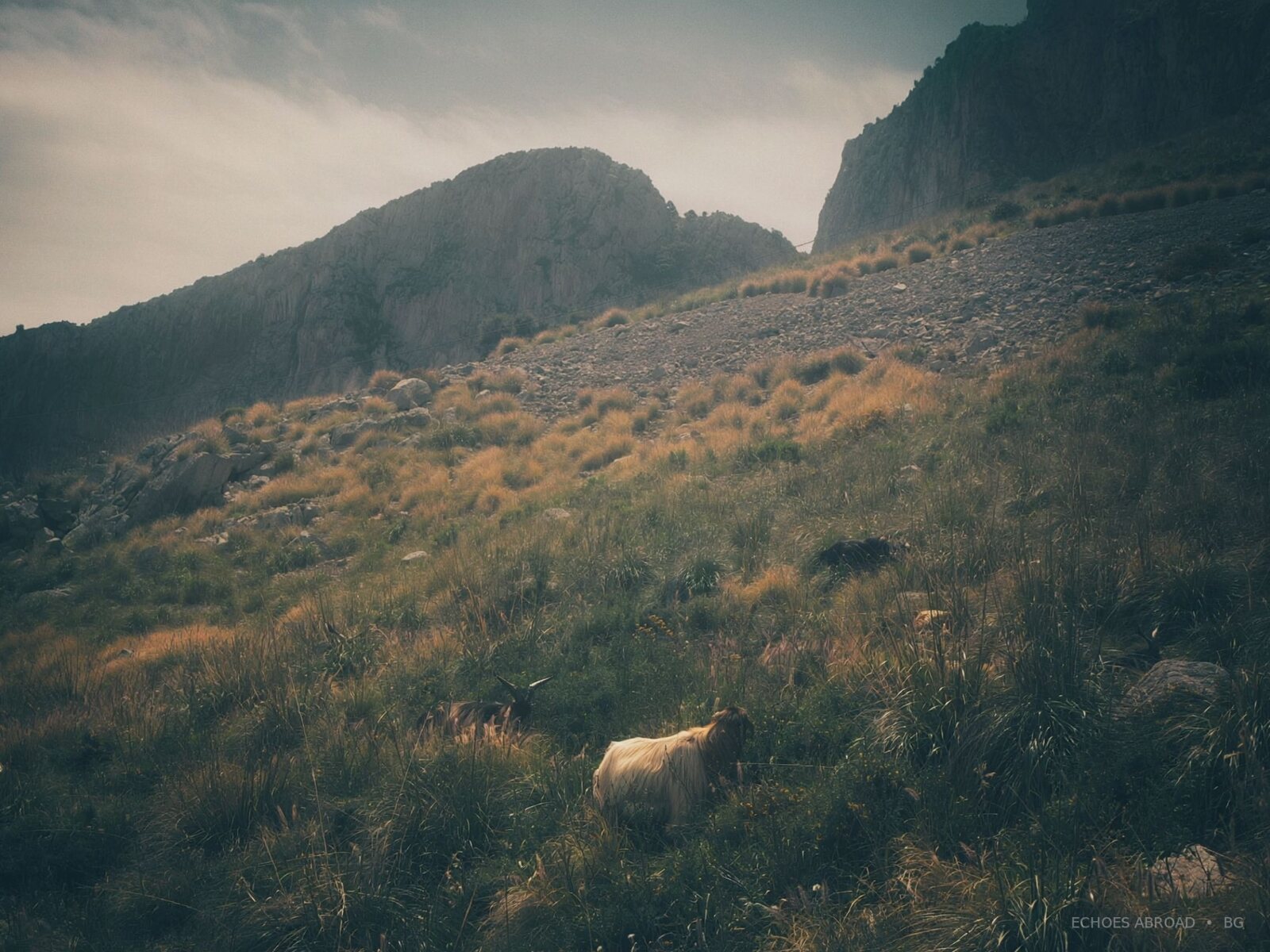 Sleeping giant