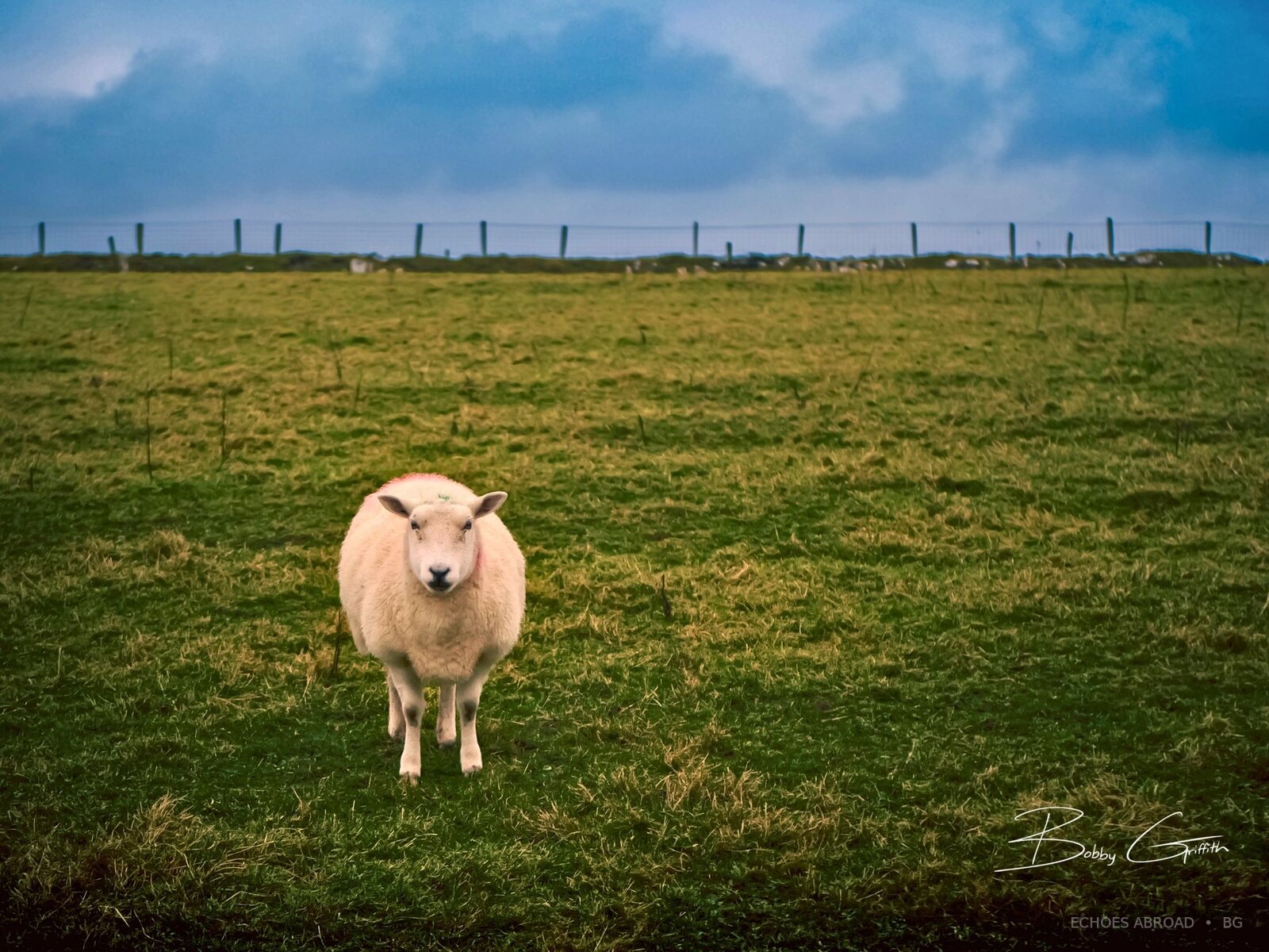A small solitary figure within a broad Irish landscape