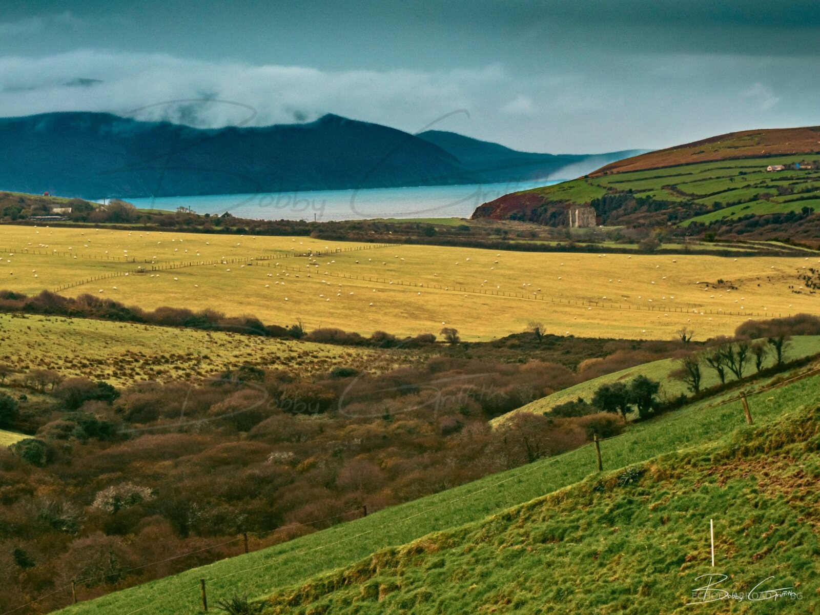 A long green Irish landscape receding toward a soft horizon